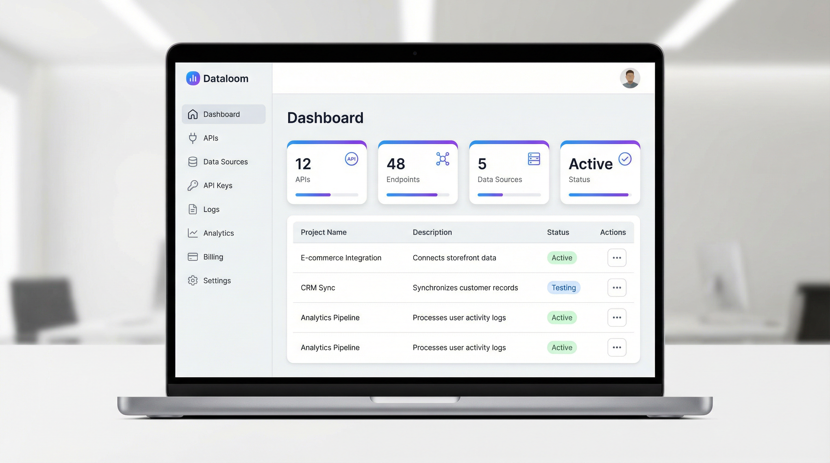 Dataloom Dashboard Interface